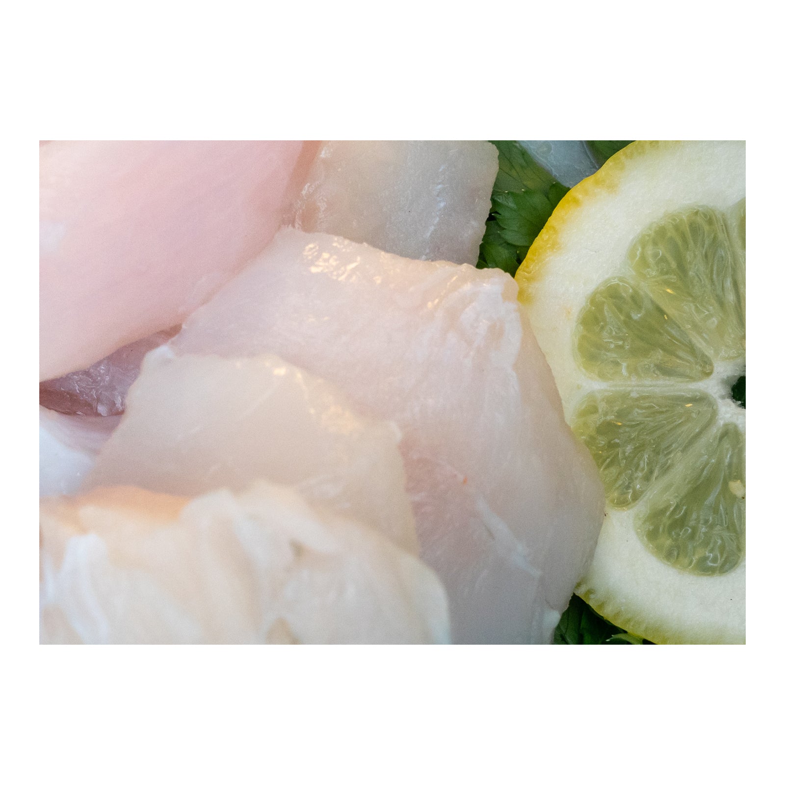 Alaskan Halibut Cheeks Custom Seafoods