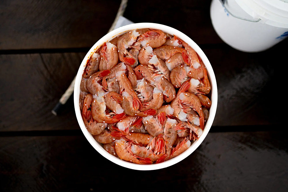 Prince William Sound Spot Prawns